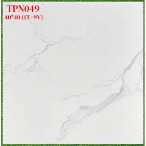 Gạch men 40x40 Trung Nguyên TPN049