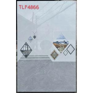 Gạch Hà Thanh 400x800 TLP 4866