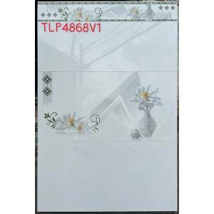 Gạch Hà Thanh 400x800 TLP 4868V1