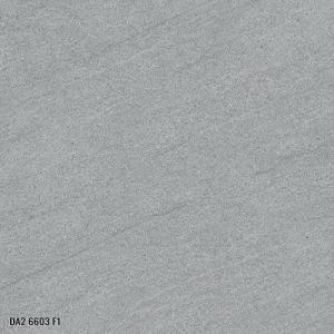 Gạch đá  mờ  60x60 Viglacera DA2 6603