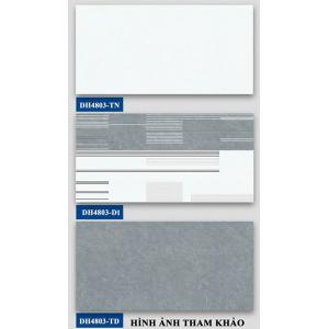 Gạch Hà Thanh 400x800 đậm nhạt điểm DH4803-TN