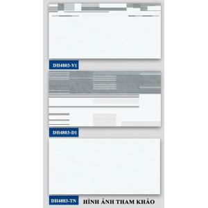 Gạch ốp tường 400x800 Hà Thanh  DH 4803V1