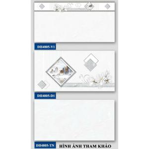 Gạch ốp tường 400x800 Hà Thanh  DH4805V1