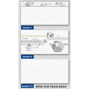 Gạch ốp tường 400x800 Hà Thanh  DH4805V