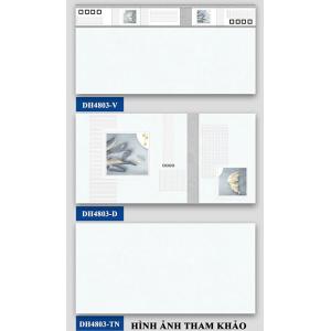 Gạch ốp tường 400x800 Hà Thanh  DH4803V