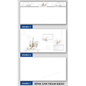 Gạch ốp tường 400x800 Hà Thanh  DH4802V