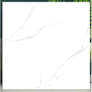 Đá bóng kiếng 600x600 Pancera P6607