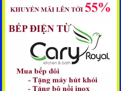Catalog bếp điện từ và máy hút khói Cary royal