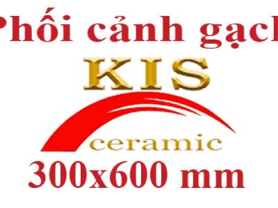 Phối cảnh gạch KIS 300x600 dòng đá đồng chất