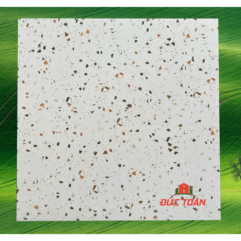 Gạch terrazzo 60x60  KS60420