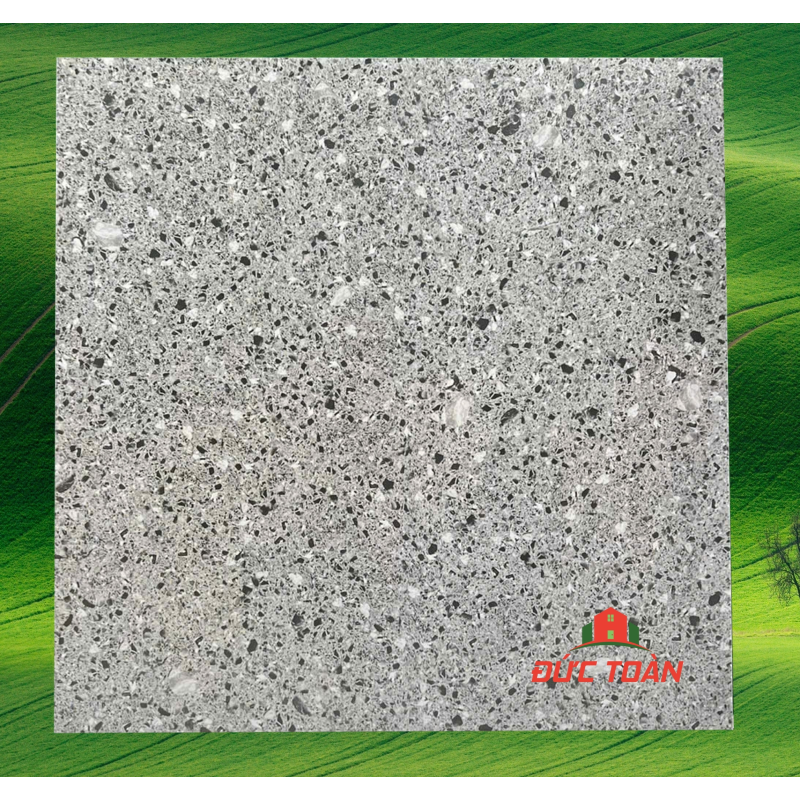 Gạch terrazzo 60x60  KS60421