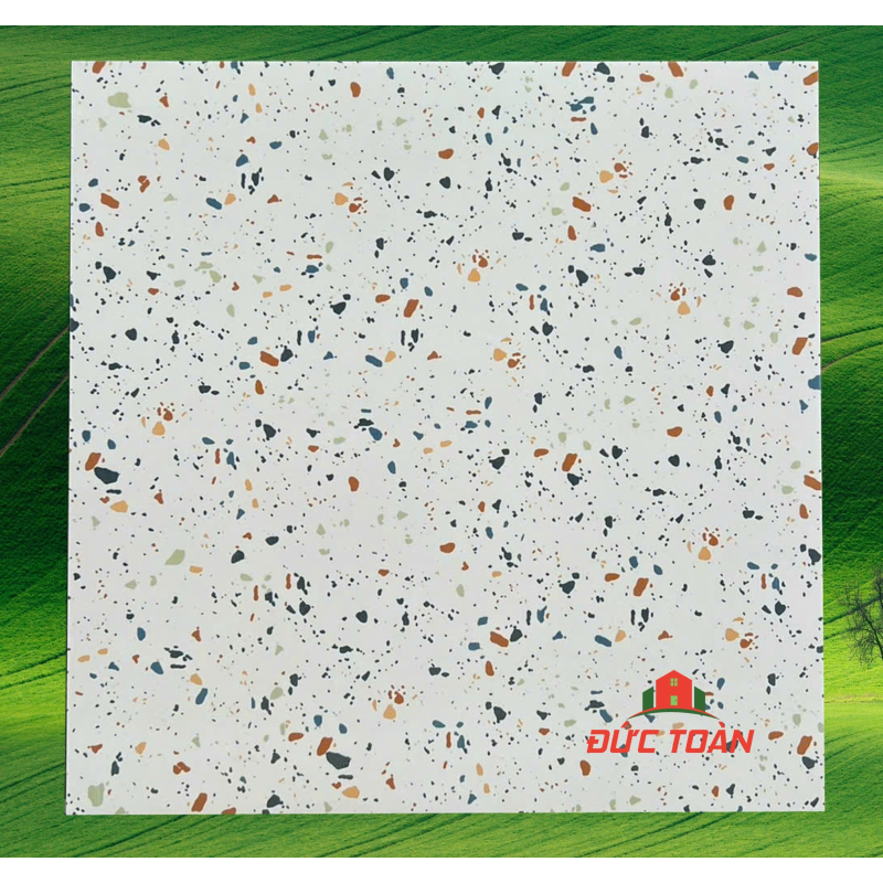 Gạch terrazzo 60x60  KS60422