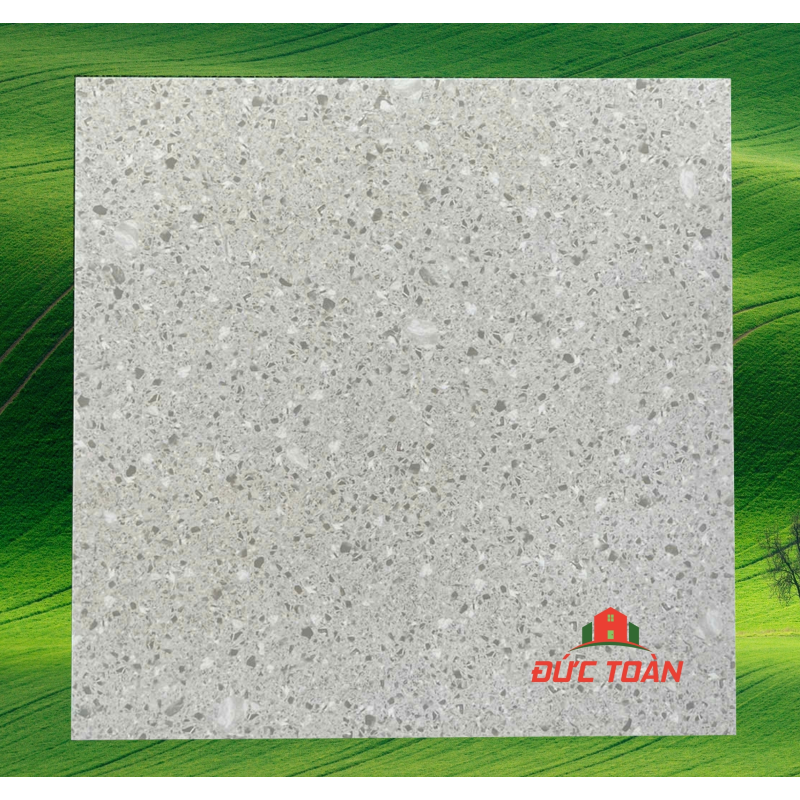 Gạch terrazzo 60x60  KS60423