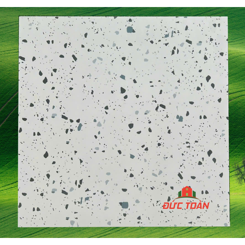 Gạch terrazzo 60x60  KS60429