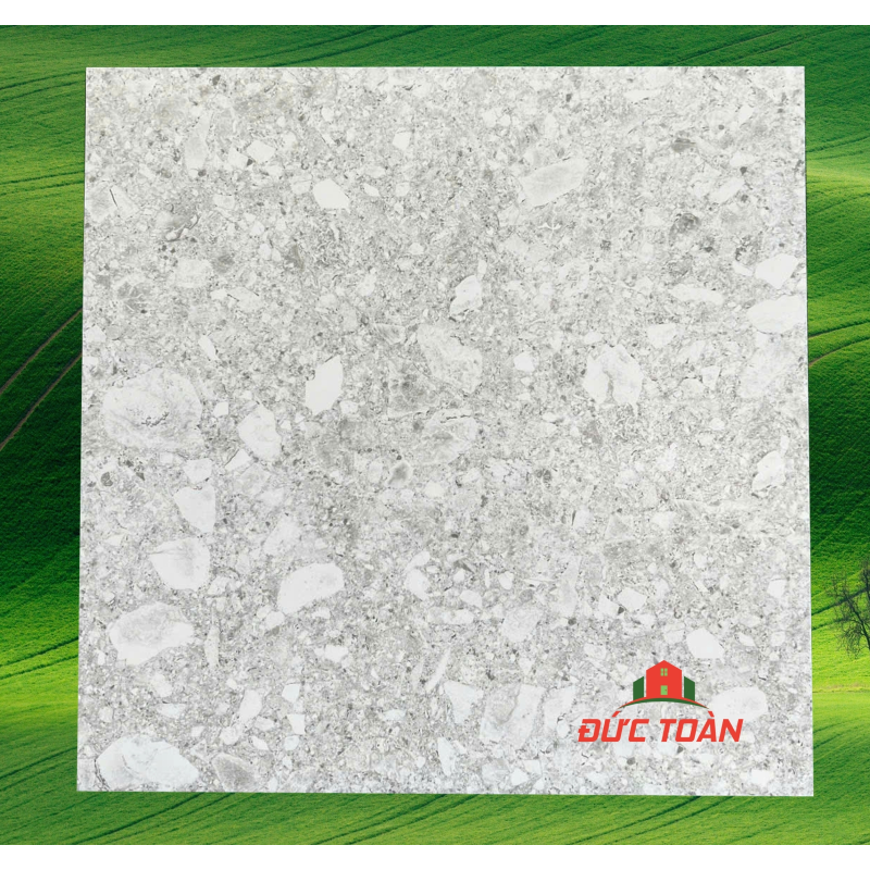 Gạch terrazzo 60x60  KS60450A