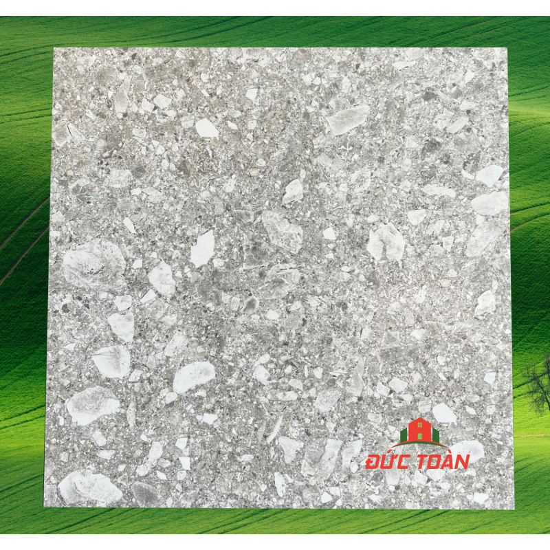 Gạch terrazzo 60x60  KS60450B