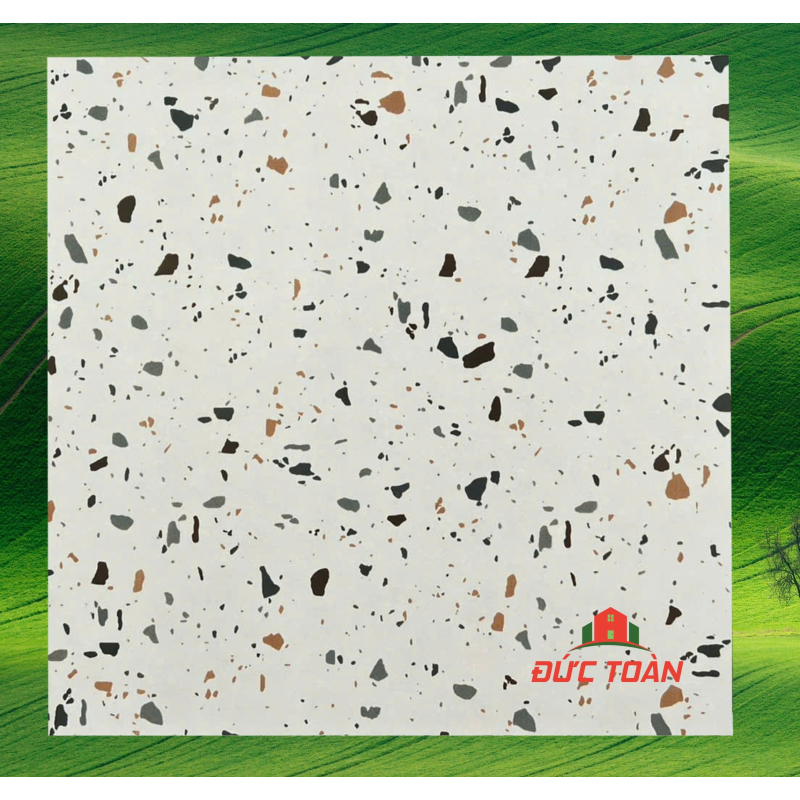 Gạch terrazzo 60x60  KS60455