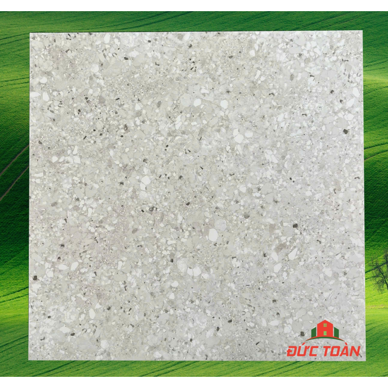 Gạch Terrazzo 800x800 đá đồng chất 80152