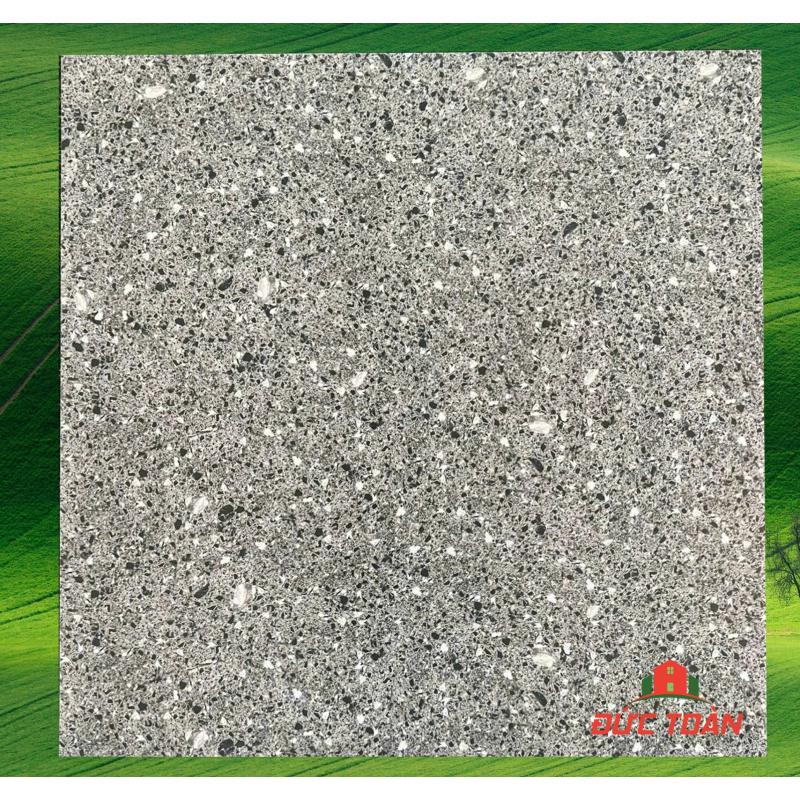 Gạch Terrazzo 800x800 đá đồng chất 80421