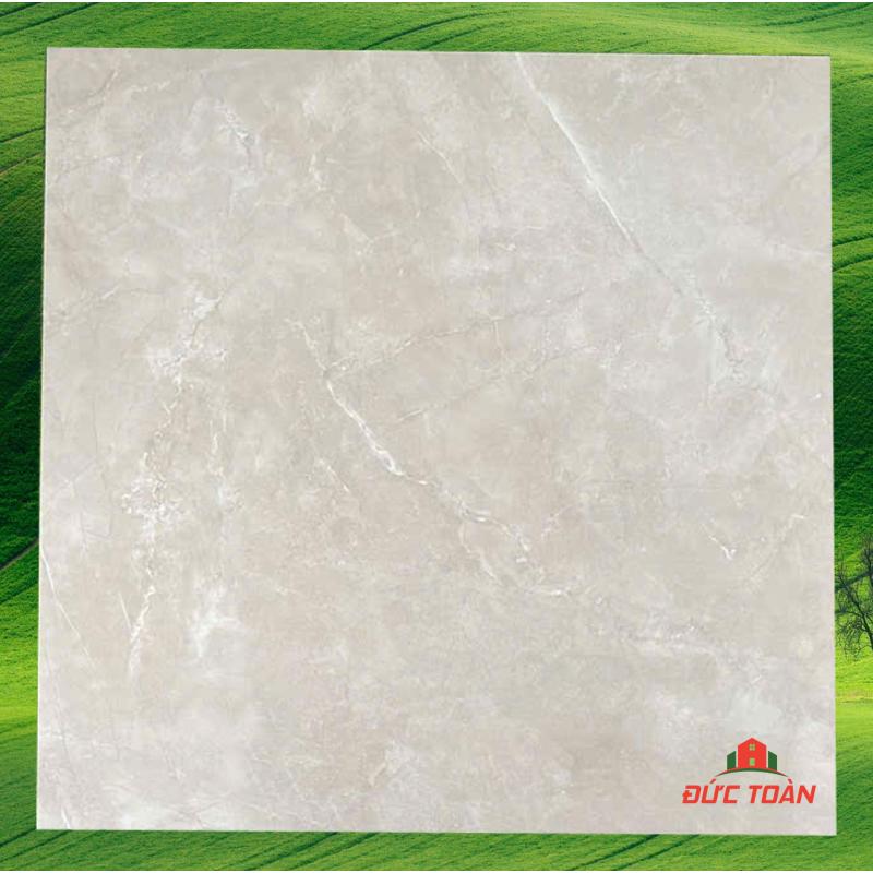 Gạch đá bóng kính Ấn Độ 1200x1200 mm AD12012004