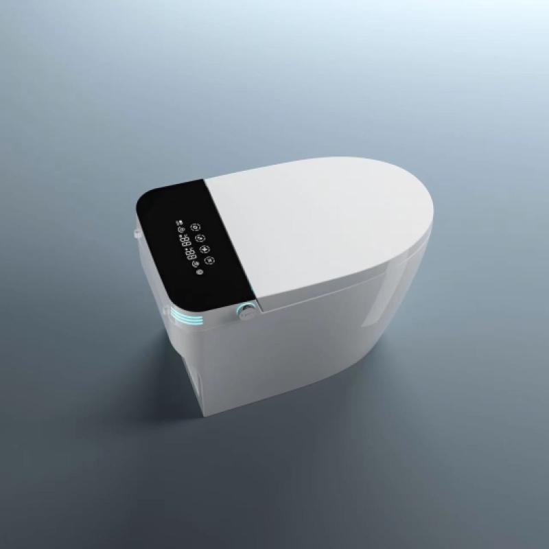 Bàn cầu điện tử Thông minh VICTORY VIC8862K