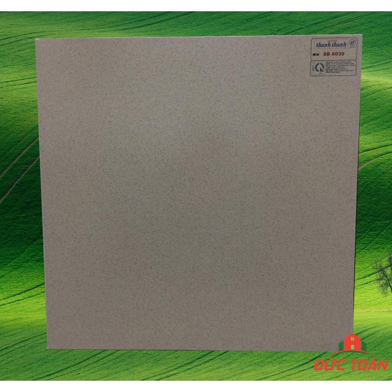 Đá đồng chất Thanh Thanh 40x40 SB 4030