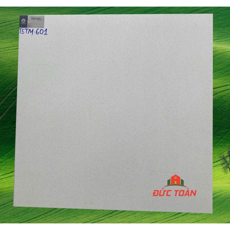 Đá đồng chất VIGLACERA 60x60 TSTM 601