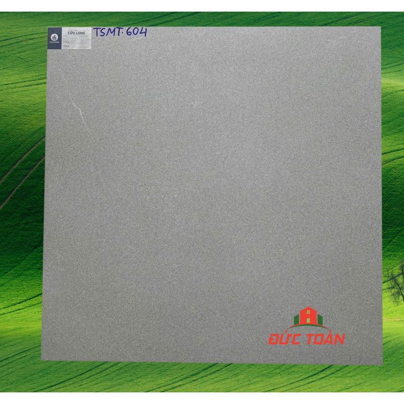 Đá đồng chất VIGLACERA 60x60 TSTM 604