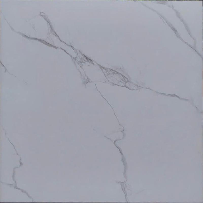 Gạch men bóng 600x600 TTC VB 66018