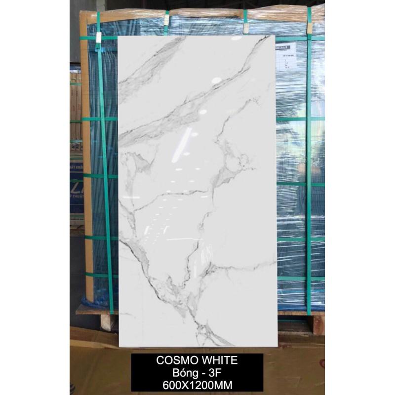 Gạch Ấn độ giá rẻ 600x1200 COSMO WHITE