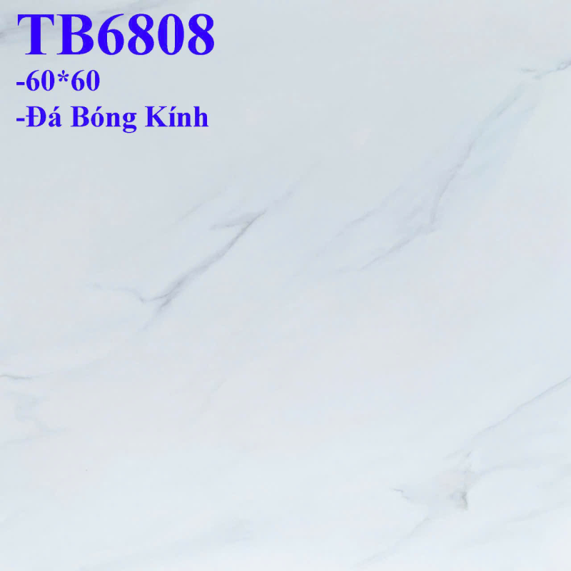 Đá bóng kiếng 600x600 VIGLACERA TB6808