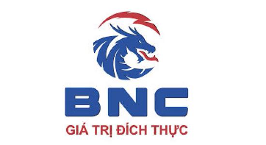 Gạch BNC